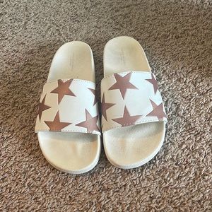 American eagle slides